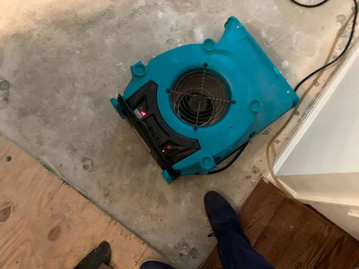 Air mover drying subfloor during Leak Detection & Repair in Ipswich
